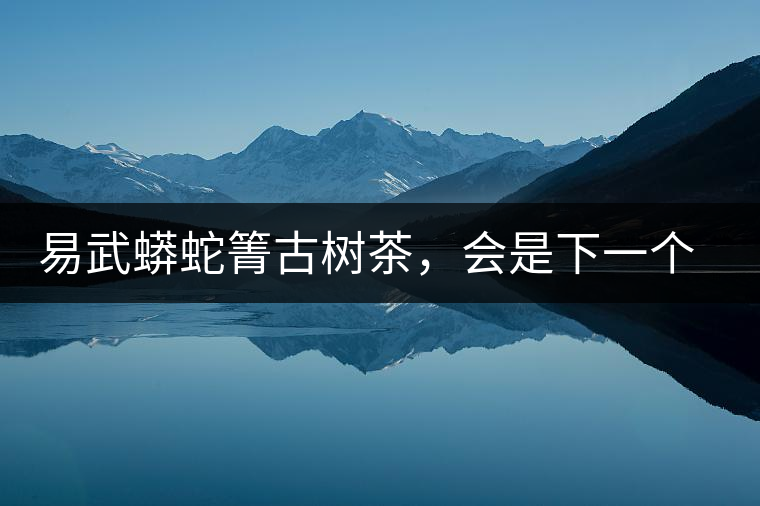 易武蟒蛇箐古樹茶，會是下一個銅箐河嗎？