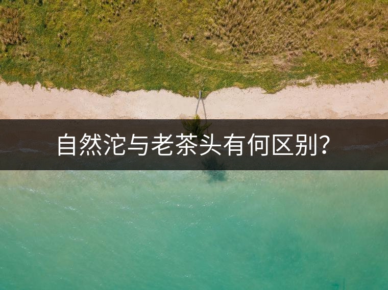 自然沱與老茶頭有何區(qū)別？