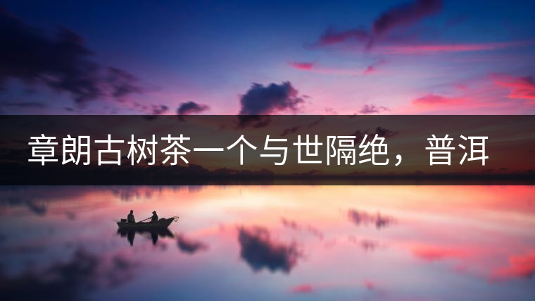 章朗古樹(shù)茶一個(gè)與世隔絕，普洱茶隔而不絕的地方