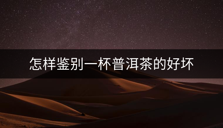 怎樣鑒別一杯普洱茶的好壞