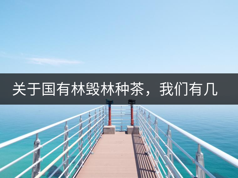 關(guān)于國(guó)有林毀林種茶，我們有幾點(diǎn)不得不說(shuō)