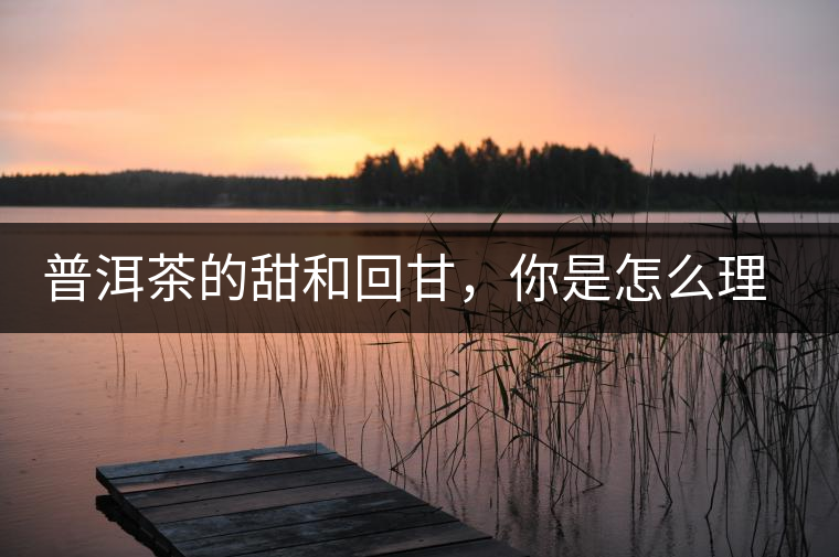 普洱茶的甜和回甘，你是怎么理解的？