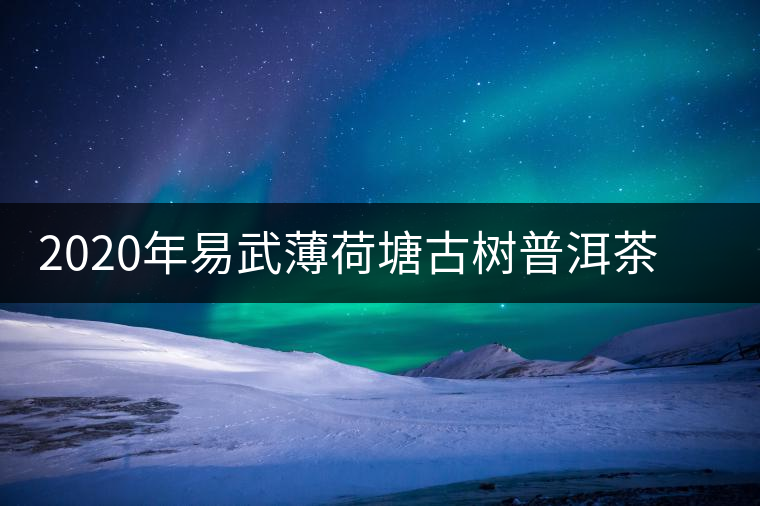 2020年易武薄荷塘古樹普洱茶特點(diǎn)，價(jià)格又上漲了嗎？