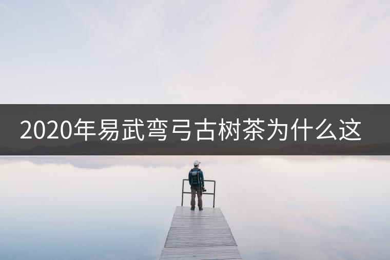 2020年易武彎弓古樹茶為什么這么貴？