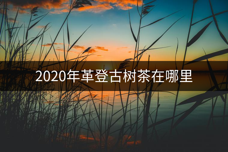 2020年革登古樹(shù)茶在哪里 2020年革登古樹(shù)茶在哪里