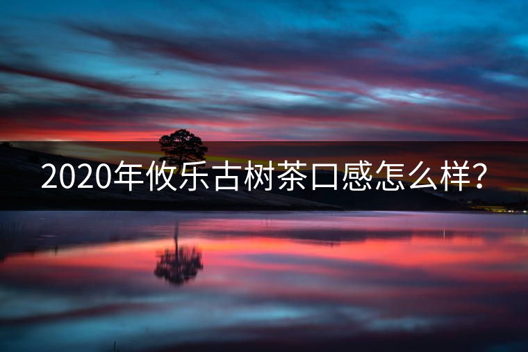 2020年攸樂(lè)古樹(shù)茶口感怎么樣？