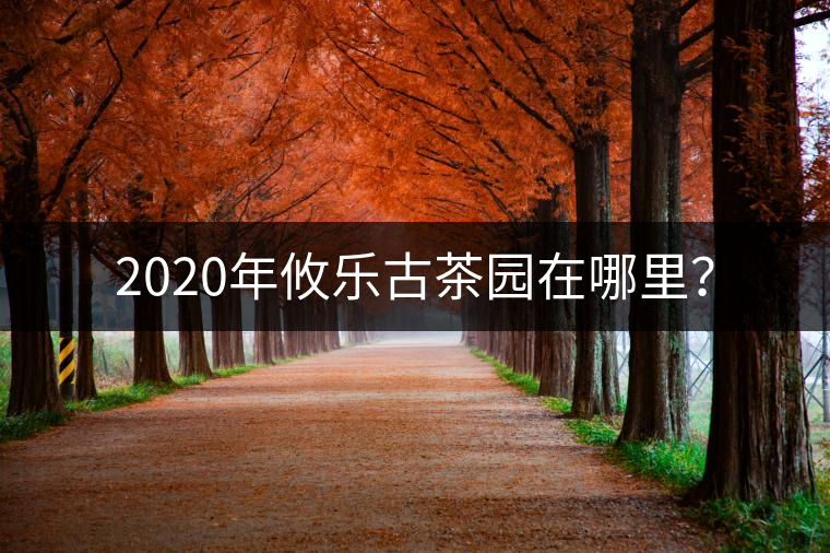 2020年攸樂古茶園在哪里？
