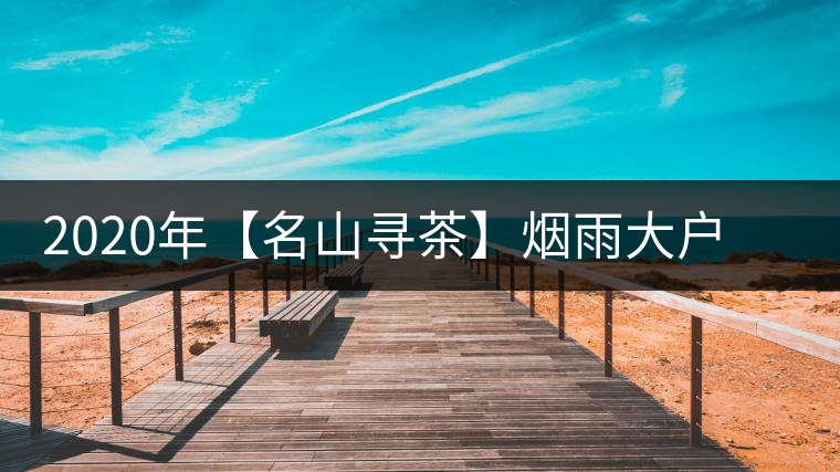 2020年【名山尋茶】煙雨大戶賽古樹(shù)茶-醉美大戶賽普洱茶