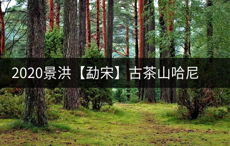 2020景洪【勐宋】古茶山哈尼年“嘎湯帕”圓滿結(jié)束，我們明年見