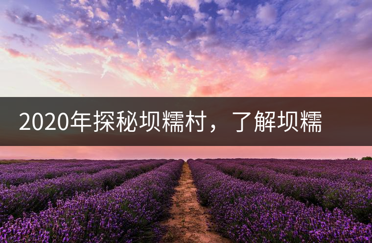 2020年探秘壩糯村，了解壩糯藤條茶的真相