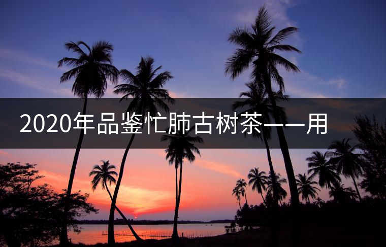 2020年品鑒忙肺古樹茶——用誠(chéng)意獻(xiàn)上一杯好茶