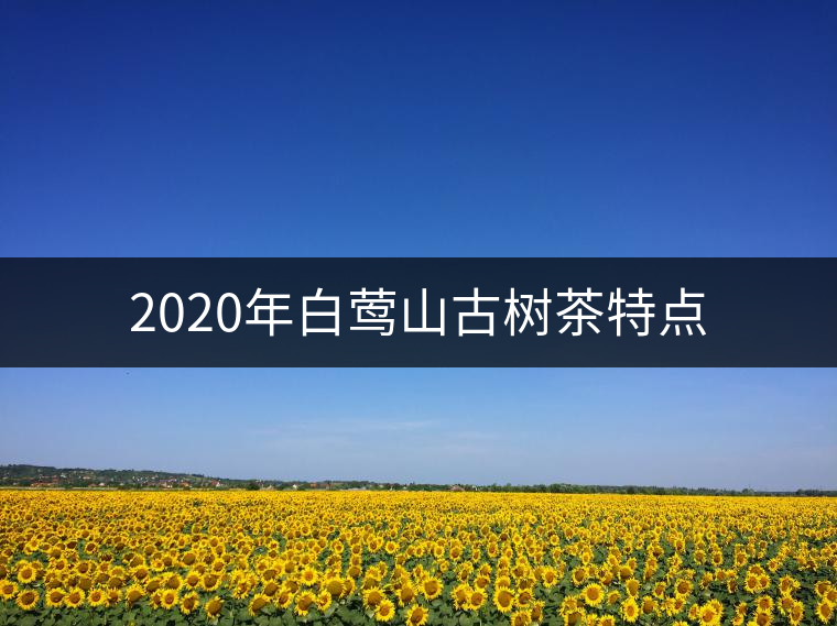 2020年白鶯山古樹(shù)茶特點(diǎn)