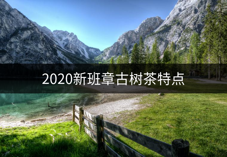 2020新班章古樹茶特點(diǎn) 2020新班章古樹茶特點(diǎn)