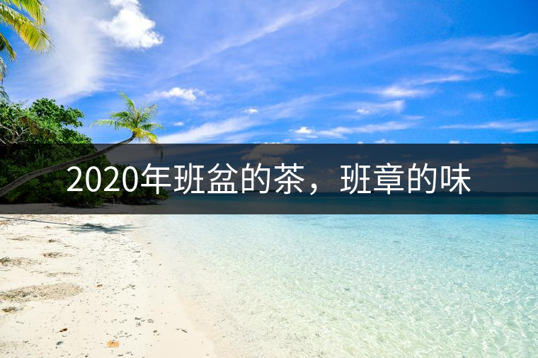 2020年班盆的茶，班章的味