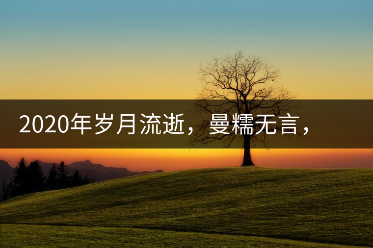 2020年歲月流逝，曼糯無(wú)言，在上茶山探秘