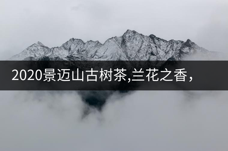 2020景邁山古樹茶,蘭花之香，自然之味