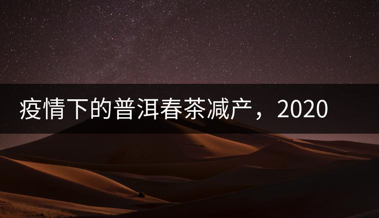 疫情下的普洱春茶減產(chǎn)，2020年價格“兩極分化”或成常態(tài)？