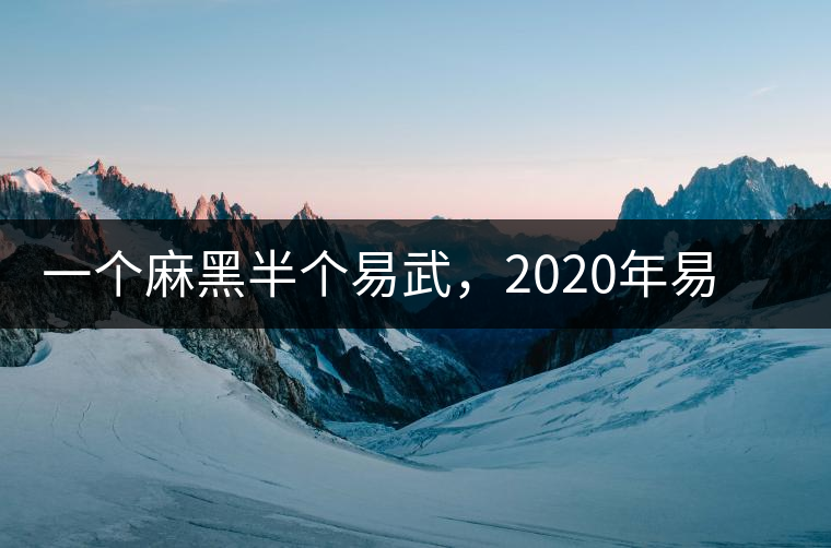 一個(gè)麻黑半個(gè)易武,2020年易武麻黑古樹春茶介紹 一個(gè)麻黑半個(gè)易武,2020年易武麻黑古樹春茶介紹