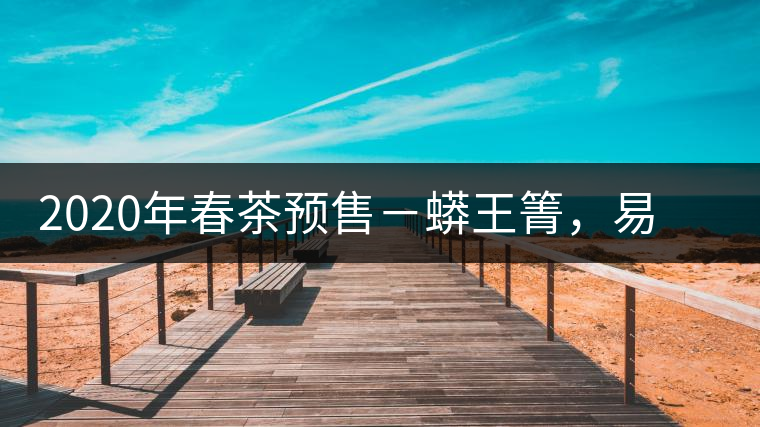 2020年春茶預售－蟒王箐，易武一個蟒蛇出沒的地方