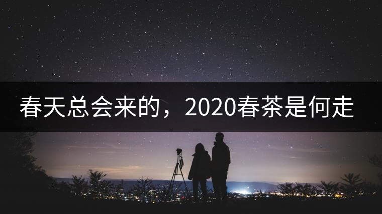 春天總會來的，2020春茶是何走勢？