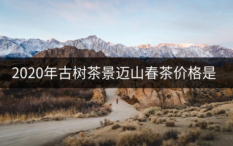 2020年古樹(shù)茶景邁山春茶價(jià)格是多少？