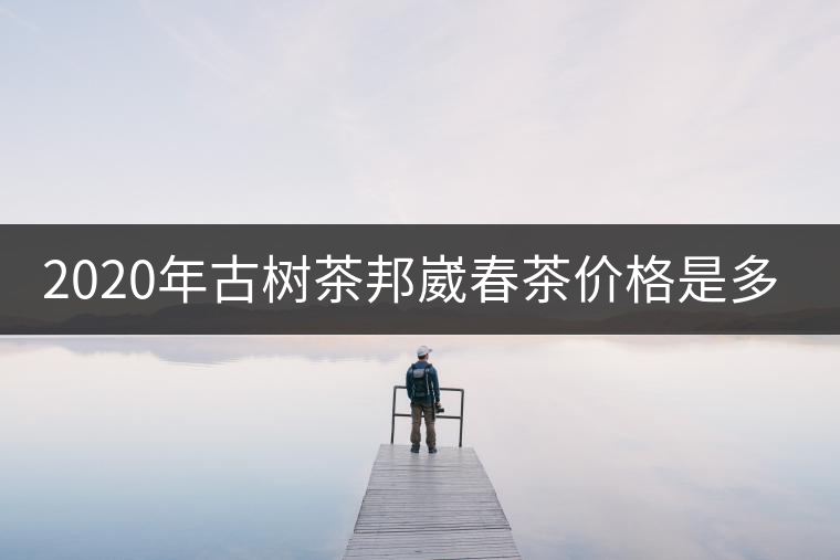 2020年古樹茶邦崴春茶價格是多少？