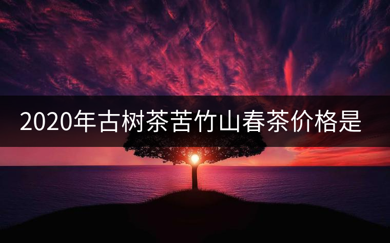 2020年古樹茶苦竹山春茶價(jià)格是多少？