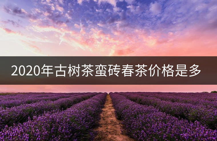 2020年古樹茶蠻磚春茶價格是多少？