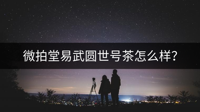 微拍堂易武圓世號茶怎么樣？