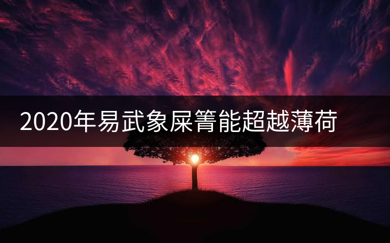 2020年易武象屎箐能超越薄荷塘，比肩哆依樹高桿嗎？