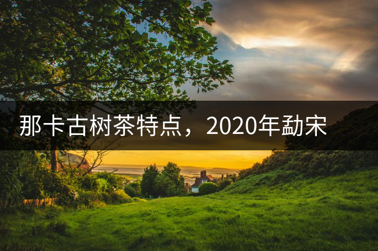 那卡古樹(shù)茶特點(diǎn)，2020年勐宋茶區(qū)保塘普洱茶口感