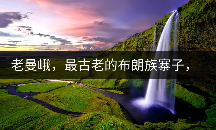 老曼峨，最古老的布朗族寨子，最極端的普洱茶