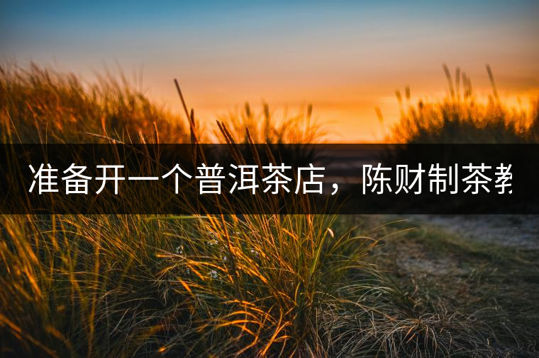 準(zhǔn)備開(kāi)一個(gè)普洱茶店，陳財(cái)制茶教你怎么做！