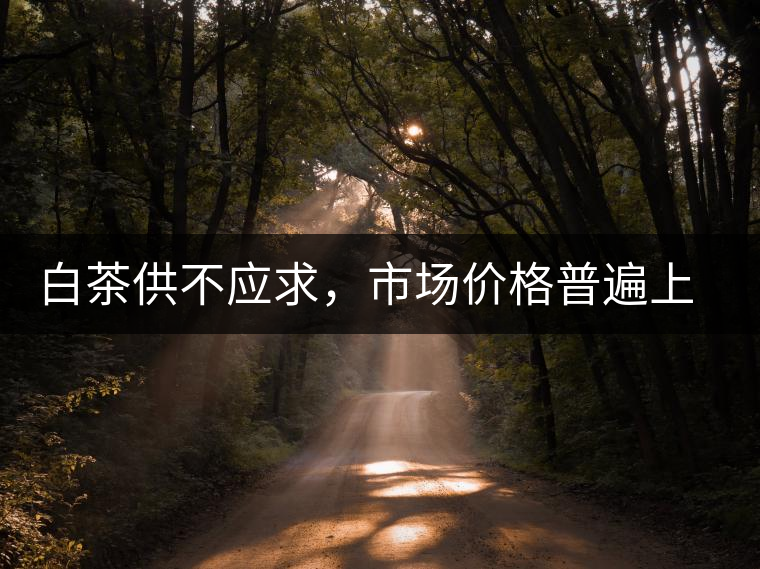 白茶供不應(yīng)求，市場(chǎng)價(jià)格普遍上漲？