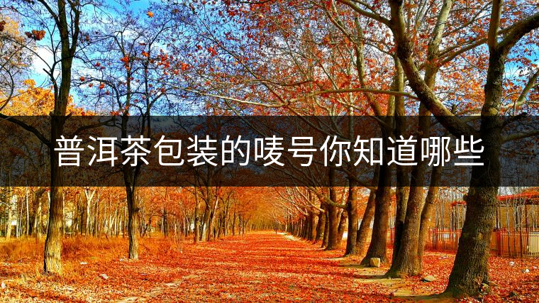 普洱茶包裝的嘜號(hào)你知道哪些