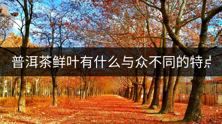 普洱茶鮮葉有什么與眾不同的特點(diǎn)？