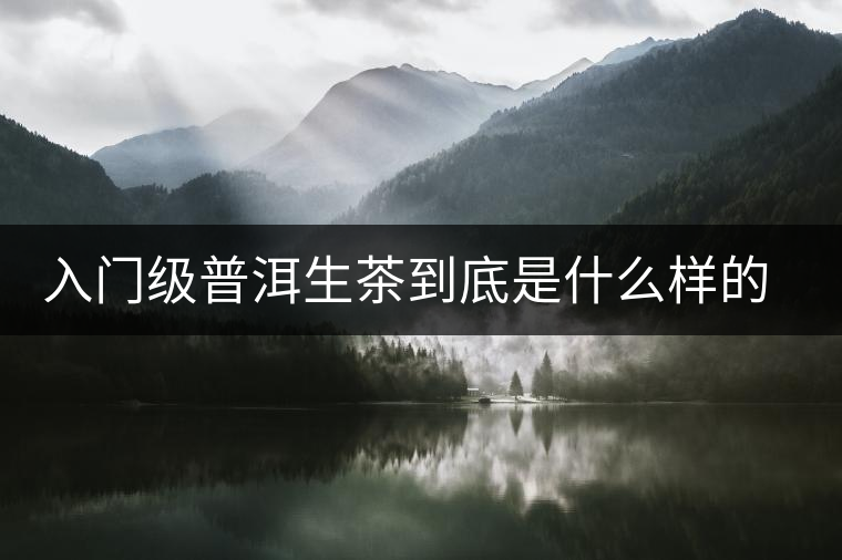 入門級(jí)普洱生茶到底是什么樣的口感？