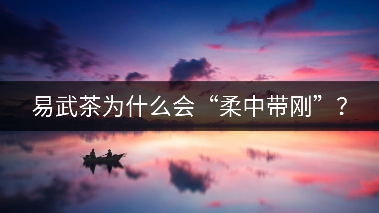 易武茶為什么會“柔中帶剛”？