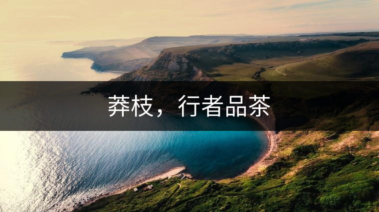 莽枝，行者品茶