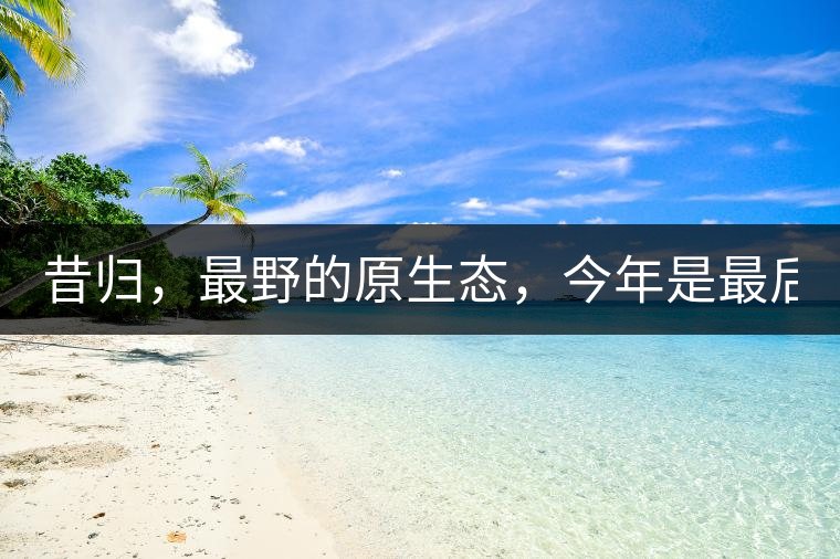 昔歸，最野的原生態(tài)，今年是最后一年了！