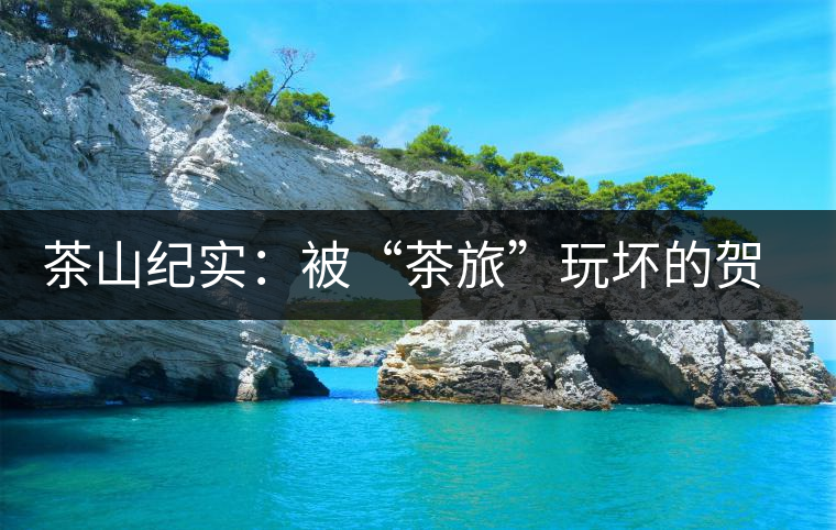 茶山紀(jì)實(shí):被“茶旅”玩壞的賀開(kāi)古茶園 茶山紀(jì)實(shí):被“茶旅”玩壞的賀開(kāi)古茶園