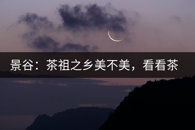 景谷：茶祖之鄉(xiāng)美不美，看看茶山和美人