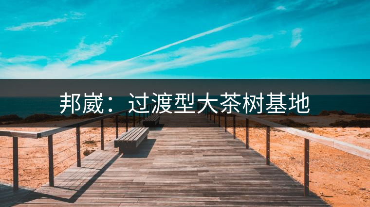 邦崴:過渡型大茶樹基地 邦崴:過渡型大茶樹基地