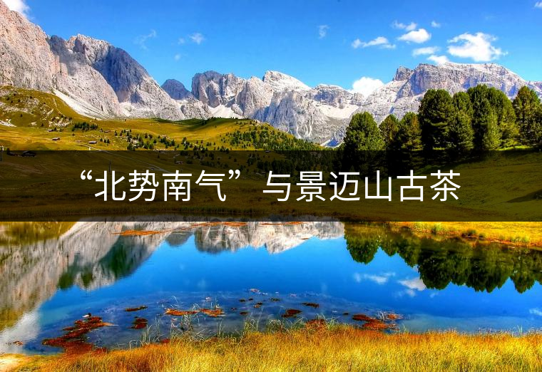 “北勢(shì)南氣”與景邁山古茶 “北勢(shì)南氣”與景邁山古茶