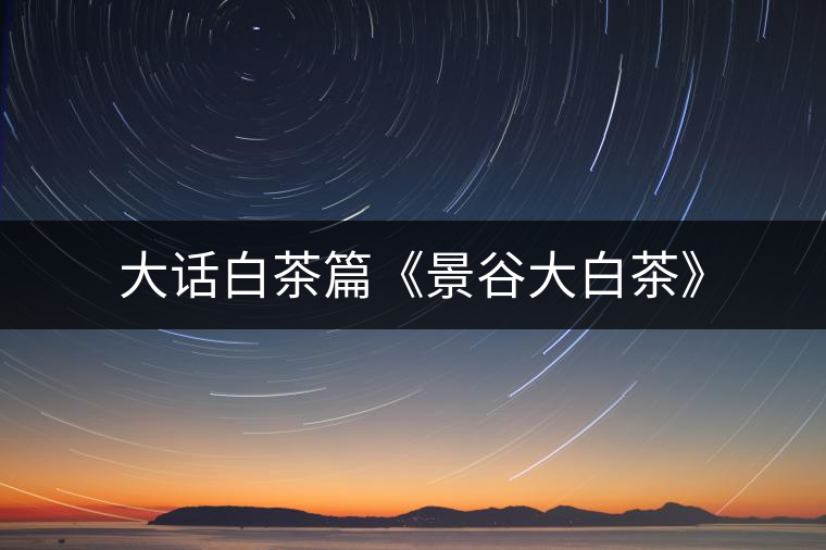 大話白茶篇《景谷大白茶》 大話白茶篇《景谷大白茶》