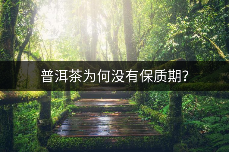 普洱茶為何沒有保質(zhì)期？