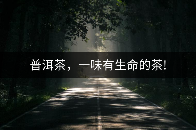 普洱茶，一味有生命的茶!