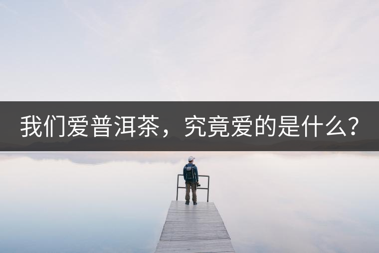 我們愛(ài)普洱茶，究竟愛(ài)的是什么？