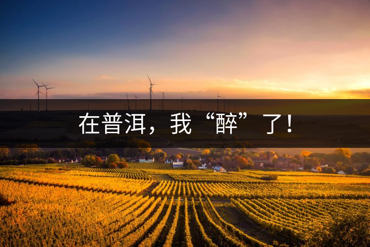 在普洱，我“醉”了！