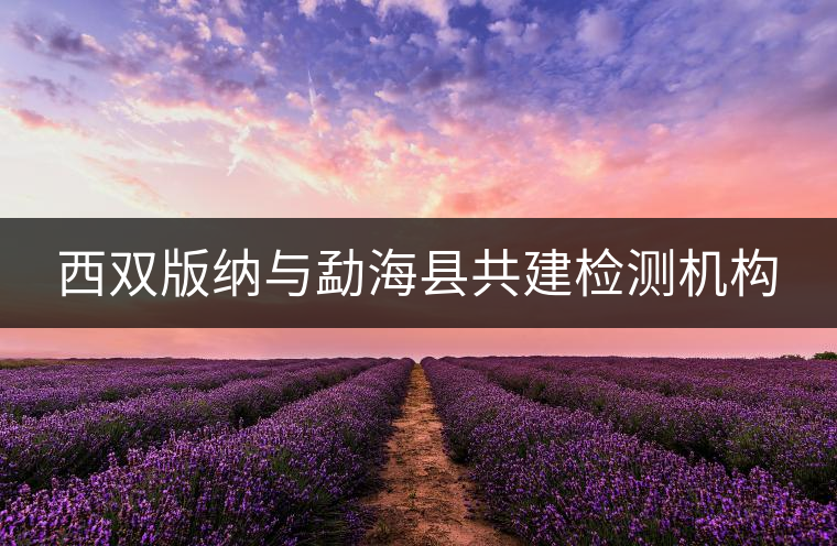 西雙版納與勐?？h共建檢測機構(gòu)